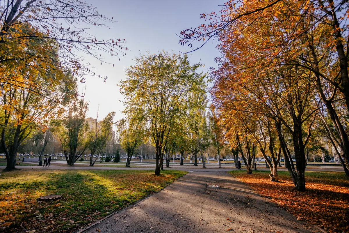 Norfolk in Autumn: Where to Find Fall Foliage in and Around the City